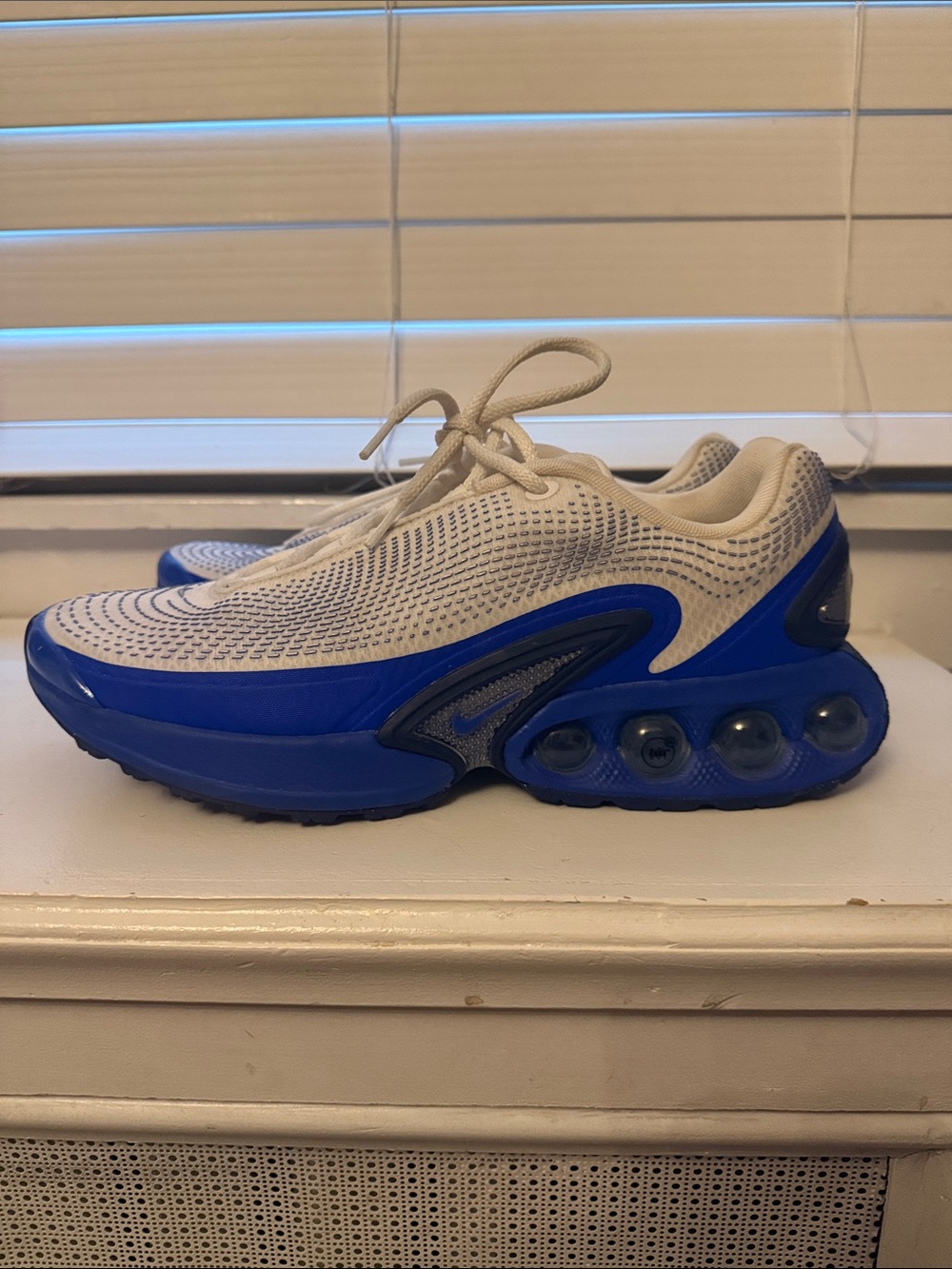 Nike Air Max Dn (Worn lightly)